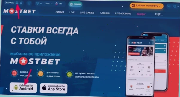 1xbet википедия